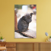 Forlorn Welpe Leinwanddruck (Insitu (Wohnzimmer))