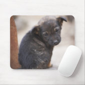 Forlorn Welpe Mousepad (Mit Mouse)