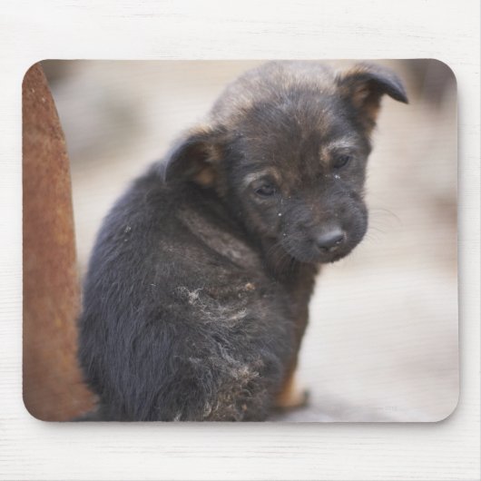 Forlorn Welpe Mousepad (Vorne)