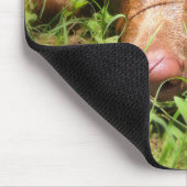 Forloro Chocolate Labrador Pit Puppy Mousepad (Ecke)