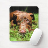 Forloro Chocolate Labrador Pit Puppy Mousepad (Mit Mouse)