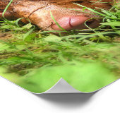 Forloro Chocolate Labrador Pit Puppy Poster (Ecke)