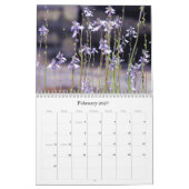 Form und Farbe in der Natur Kalender (Feb 2027)