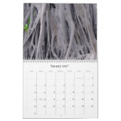 Form und Farbe in der Natur Kalender (Jan 2027)