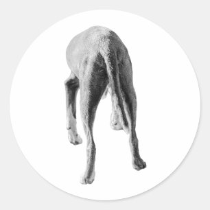 Form und Fluss Runder Aufkleber