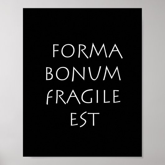 Forma bonum fragile est poster (Vorne)