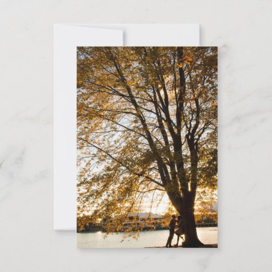 Formale Kalligraphie Elegantes Multi-Foto Save The Date (Rückseite)