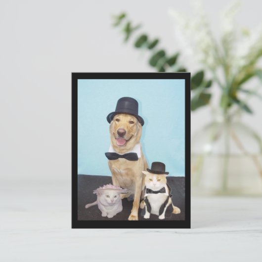 Formale Postkarte (Stehend Vorderseite)