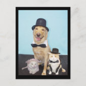 Formale Postkarte (Vorderseite)