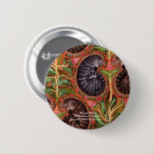 Formales Paisles, formales Paisley Darlene P. Button (Vorne & Hinten)