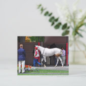 Formanbau nach Band Postkarte (Stehend Vorderseite)