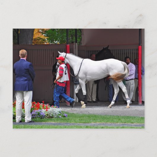 Formanbau nach Band Postkarte (Vorderseite)