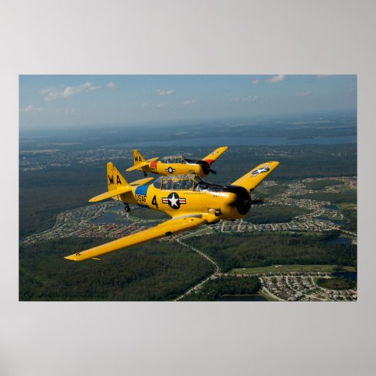 Formation Flying T6 Style Poster (Vorne)