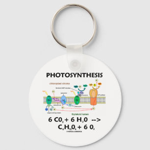 Formel der Fotosynthese-(Chemikalie) Schlüsselanhänger