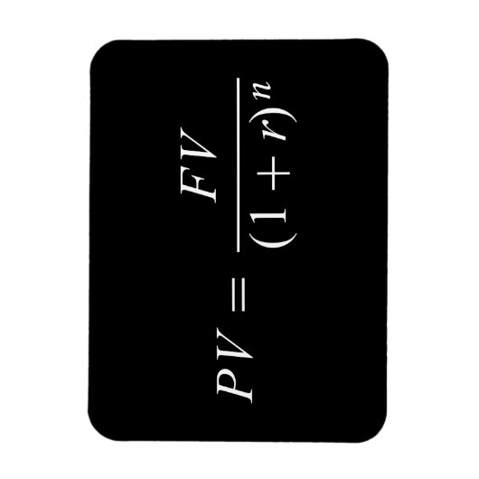 Formel "Zeitwert des Geldes" Magnet (Vertikal)