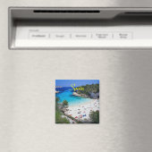 Formentera-Spinatmagnet Magnet (In Situ (Geschirrspüler))