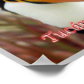 Formosan Toucan Poster (Ecke)