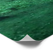 Forrest Dragon Poster (Ecke)