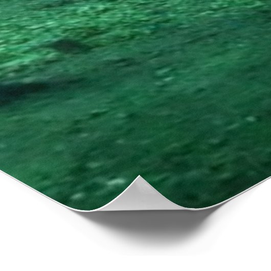 Forrest Dragon Poster (Ecke)