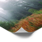 Forrest Fog Pine Tree Value Plakatpapier Poster (Ecke)