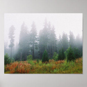 Forrest Fog Pine Tree Value Plakatpapier Poster