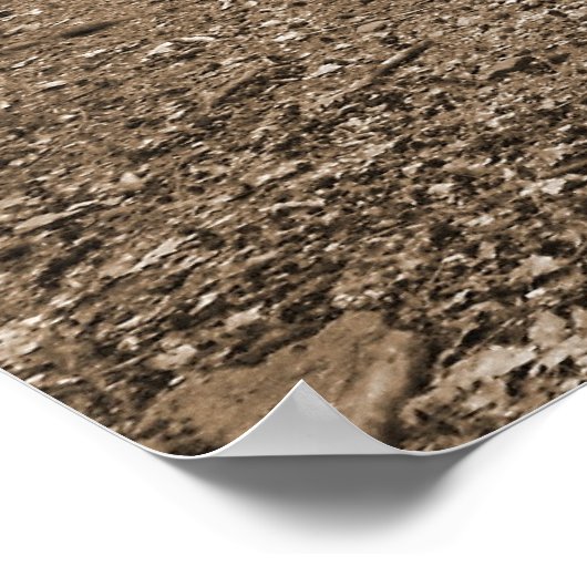 Forrest Steps XL Leinwand Poster (Ecke)