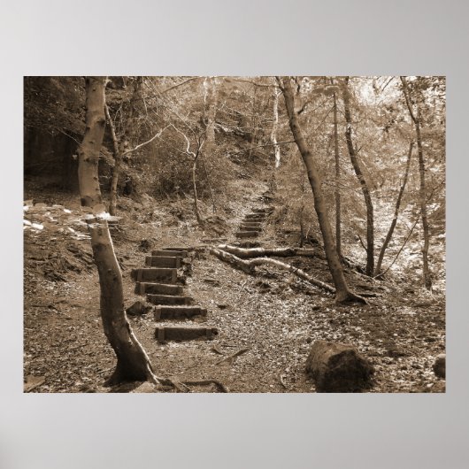 Forrest Steps XL Leinwand Poster (Vorne)