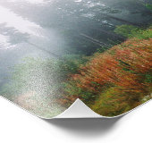 Forst Morgens, Kodak Beruflich P Fotodruck (Ecke)