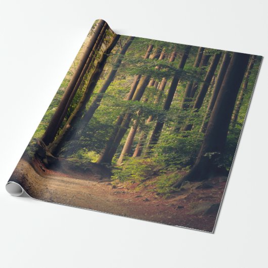 FORSTBÄUME GESCHENKPAPIER (Ungerollt)