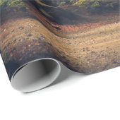 FORSTBÄUME GESCHENKPAPIER (Rolleneckpunkt)