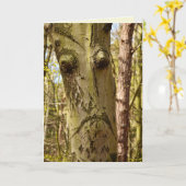 Forstkarte Karte (Gelbe Blume)