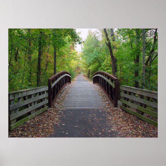 Forstpfad drucken poster (Vorne)