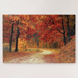 Forststraße - Fall - schön - Puzzle