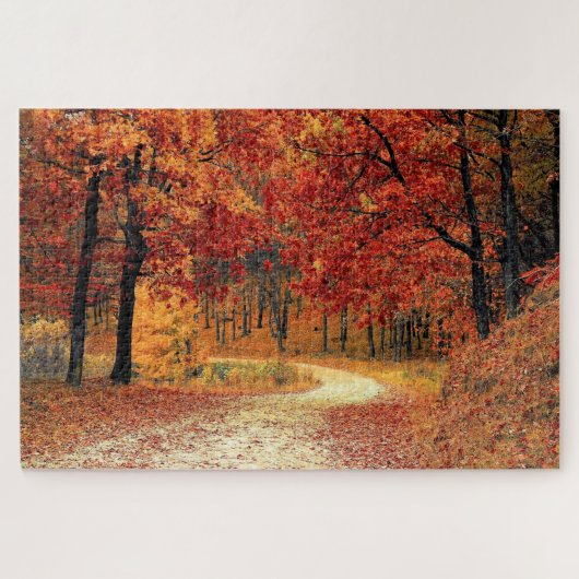 Forststraße - Fall - schön - Puzzle (Horizontal)
