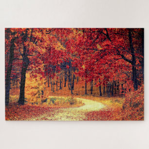Forststraße - Herbst - Schöne Jahreszeit - Fall Puzzle