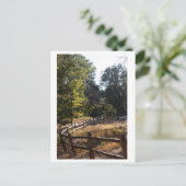 Forstweg Postkarte (Stehend Vorderseite)