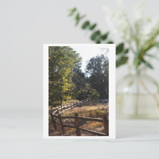 Forstweg Postkarte (Stehend Vorderseite)