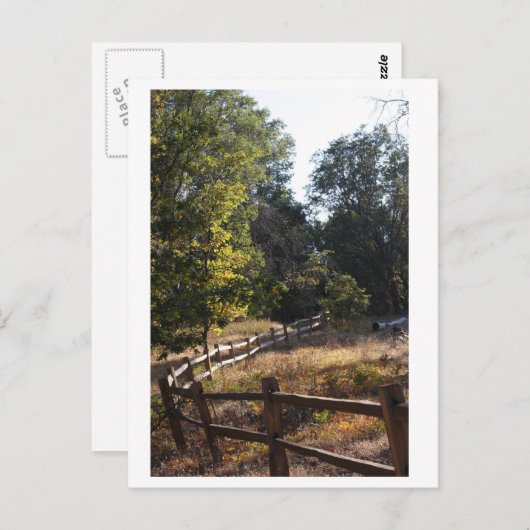 Forstweg Postkarte (Vorne/Hinten)