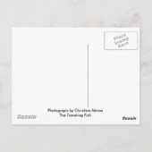 Forstweg Postkarte (Rückseite)