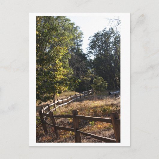 Forstweg Postkarte (Vorderseite)