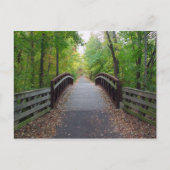 Forstweg Postkarte (Vorderseite)