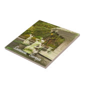 Forsyth Brunnen, Savanne, GA-Reise-Fotografie Fliese (Seite)