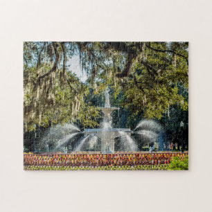 Forsyth Fountain #2 Savannah Puzzle