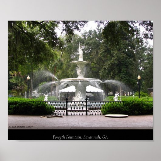 Forsyth Fountain Poster (Vorne)