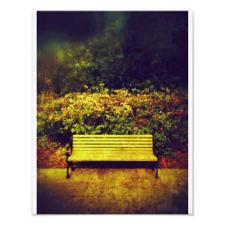 Forsyth Park Bench Fotodruck