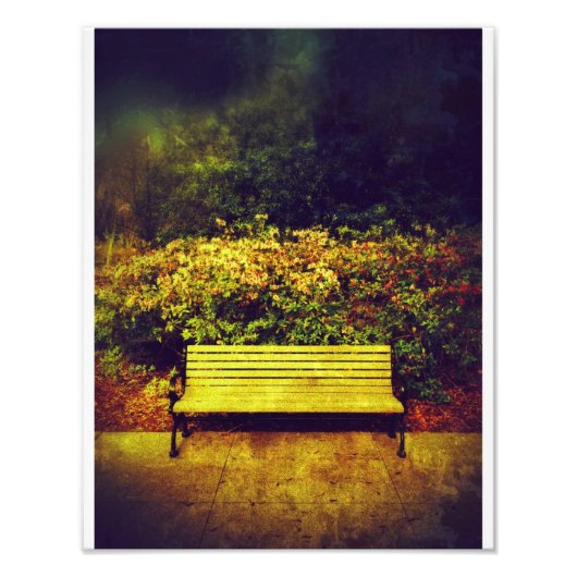 Forsyth Park Bench Fotodruck (Vorne)