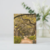 Forsyth Park - Foto, Savannah, Georgia (GA) USA Postkarte (Stehend Vorderseite)