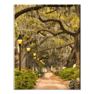Forsyth Park - Foto, Savanne, Georgia (GA) USA Fotodruck