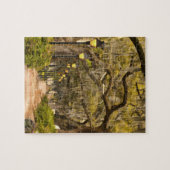 Forsyth Park - Foto, Savanne, Georgia (GA) USA Puzzle (Horizontal)