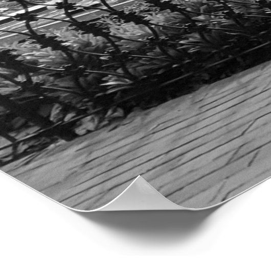 Forsyth Park Fountain, Savannah Ga Poster (Ecke)